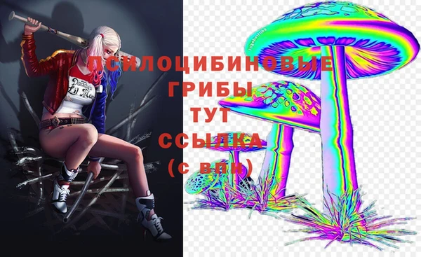 индика Касимов