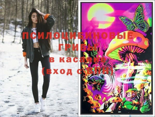 гидра Инта