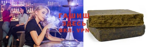 гидра Инта