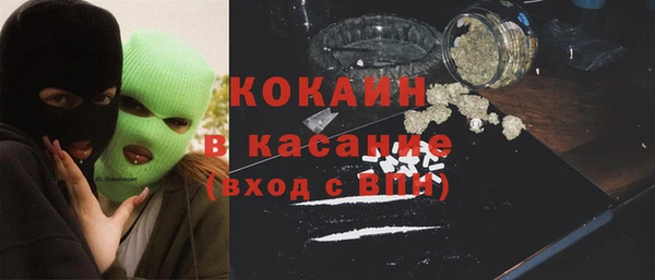 гидра Инта