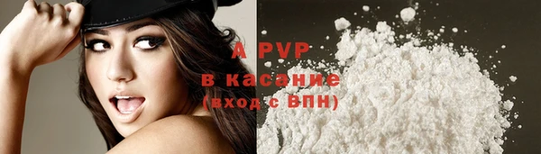 индика Касимов