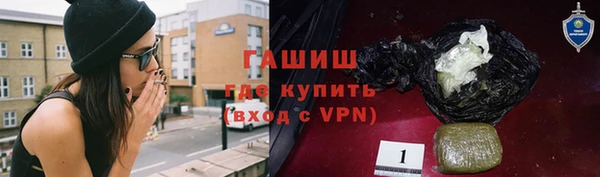 индика Касимов