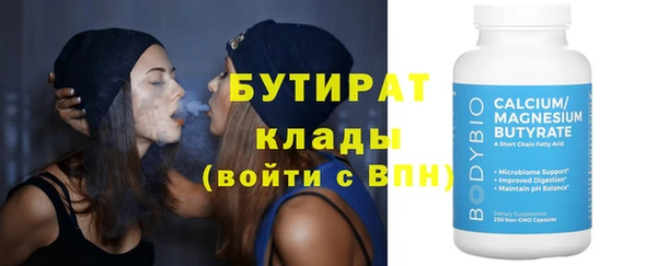 гидра Инта