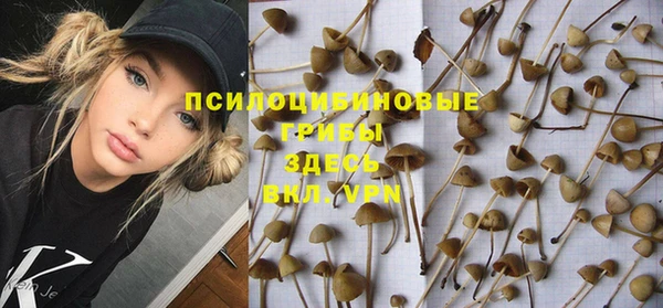 марки nbome Инсар
