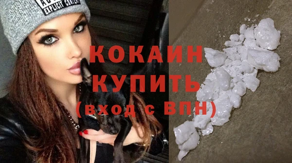 дурь Каменка