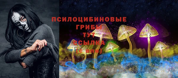 спайс Каменногорск