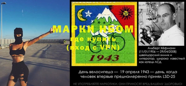 индика Касимов