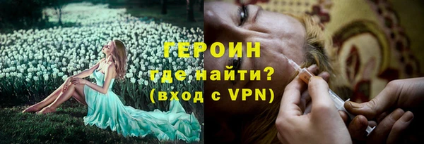 гидра Инта