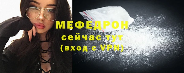 гидра Инта