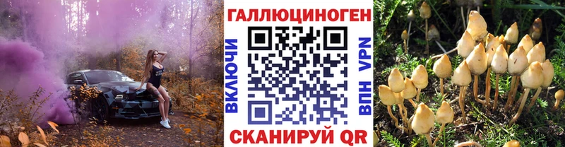 Купить Егорьевск Галлюциногенные грибы мухоморы
